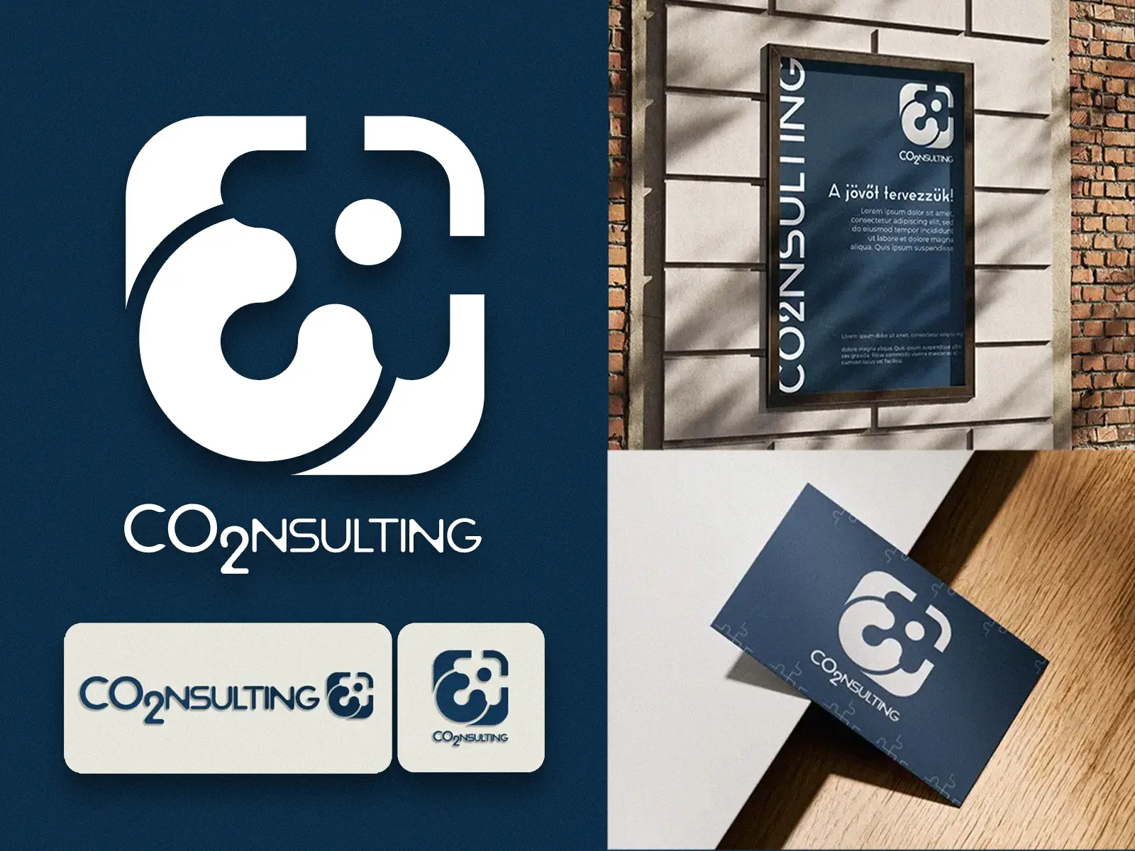 CO2NSULTING